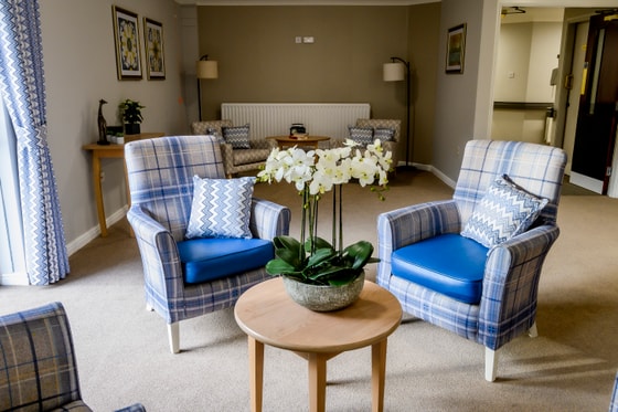 Blue tartan chairs