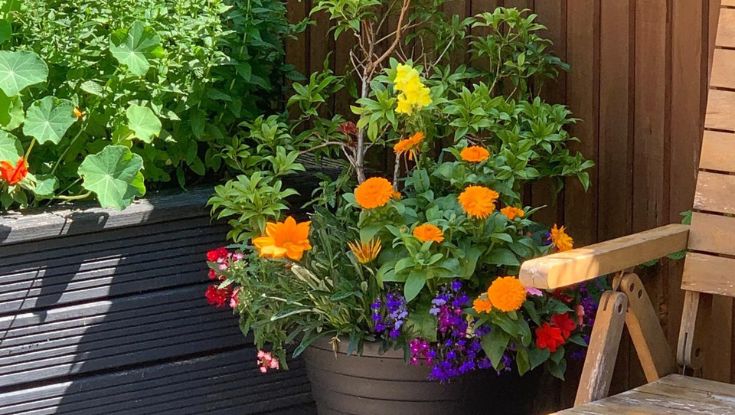 Appleton Lodge Care Home slider image