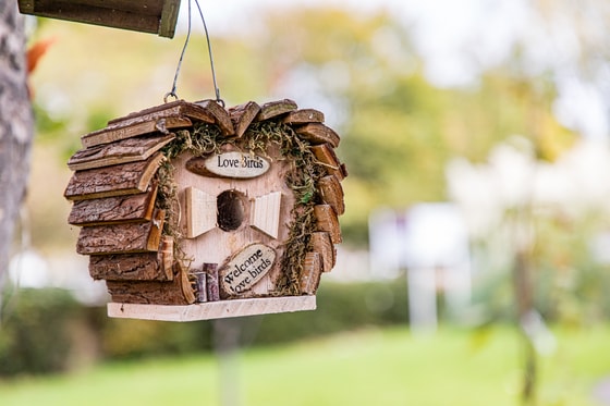 Brookdale View Care Home Garden Bird house
