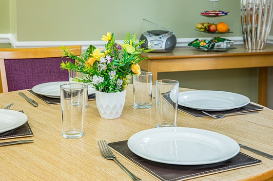 Daneside Mews Care Home slider image