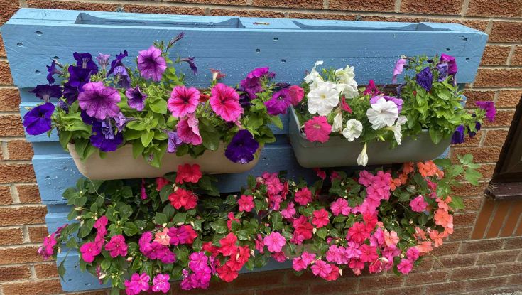 Daneside Mews Care Home slider image