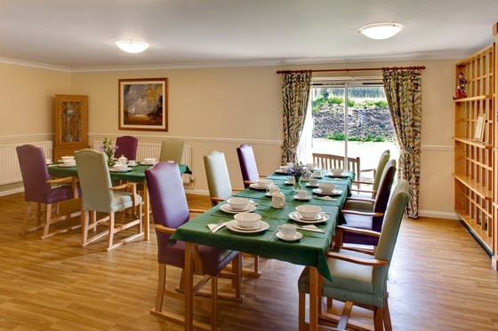 Dining room and chairs