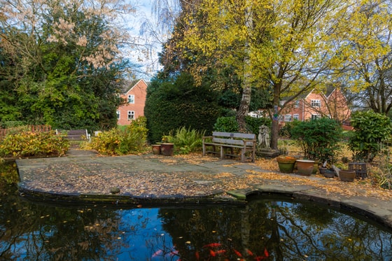 Outdoor lake and garden