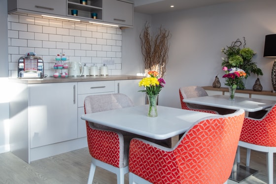 Red chair dining table