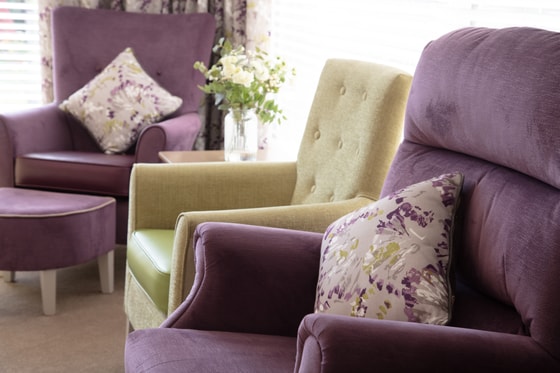 Purple and green arm chairs