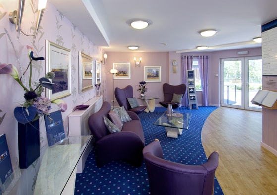 Purple chairs seating area