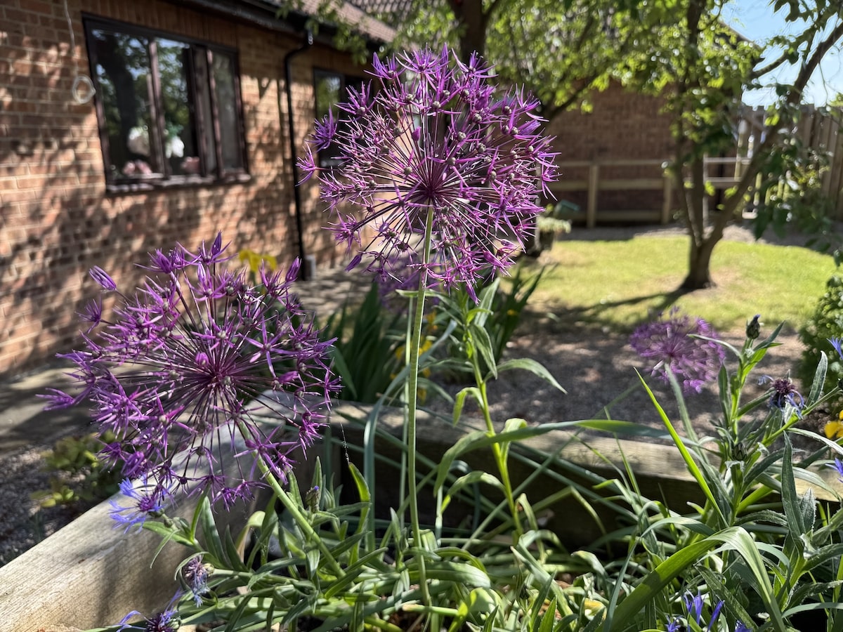 Highfield Care Home slider image
