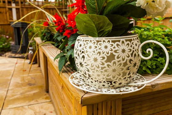 Senior living white plant pot