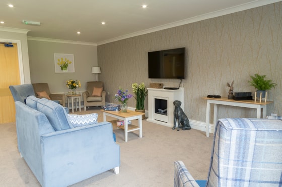 Blue chairs and television