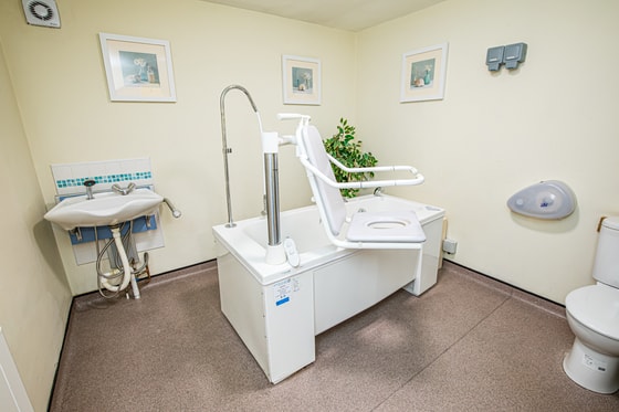 Specialist lift bathroom equipment
