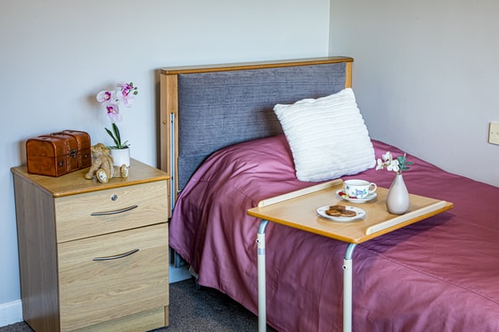 Purple bedding
