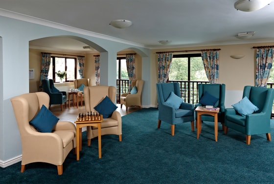 Blue and cream armchairs