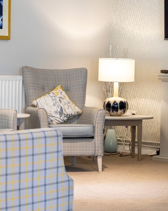 Gray checkered arm chair