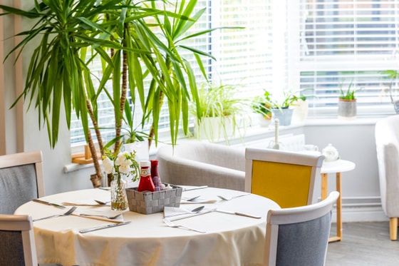 Palm tree yellow dining 