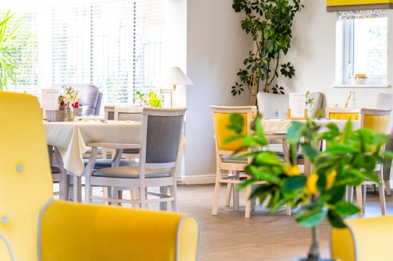 Grey and Yellow seating