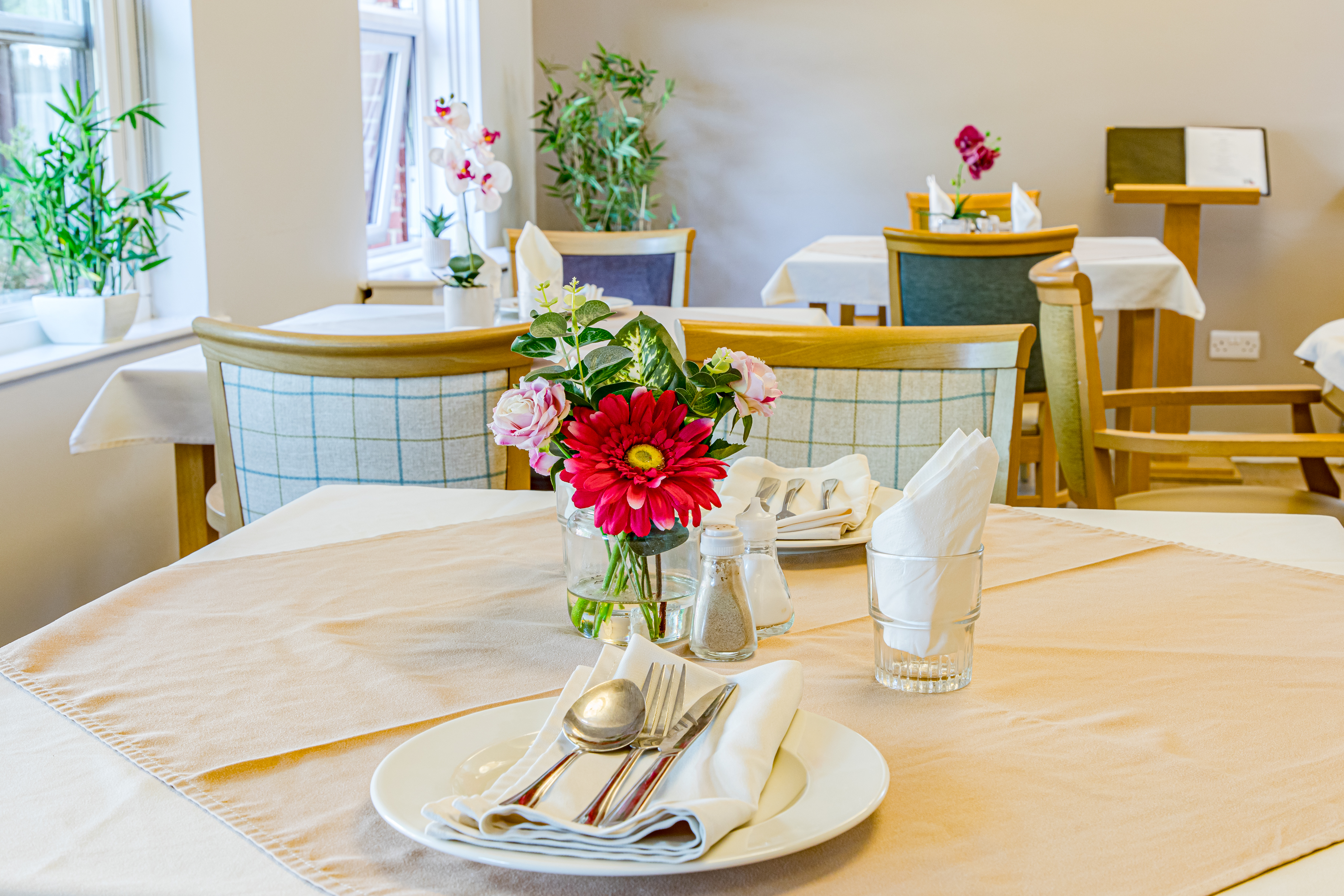 Westwood Lodge Care Home slider image