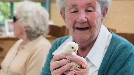 Dingle Meadow Care Home