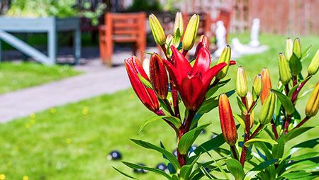 Highfield Care Home