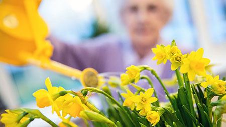 Swallownest Care Home