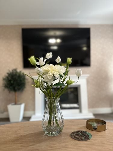 Westwood Lodge Care Home - Plants and television 