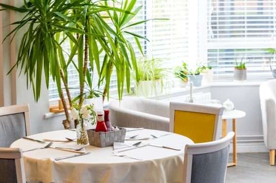 Woodlands View - Palm tree yellow dining 