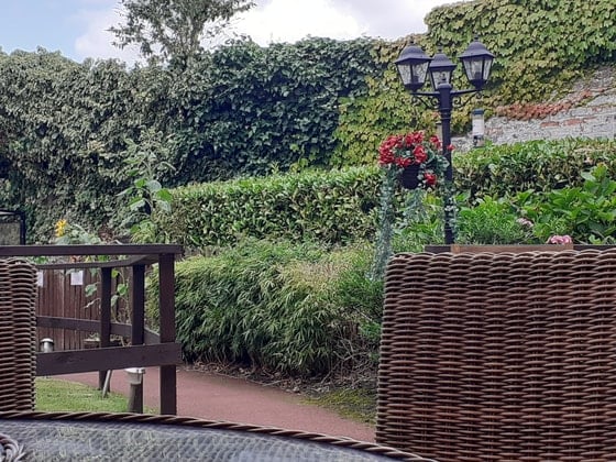 Rose Court Care Home - green outdoor garden