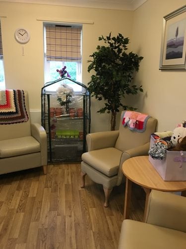 Holmwood Care Home - Window and plant