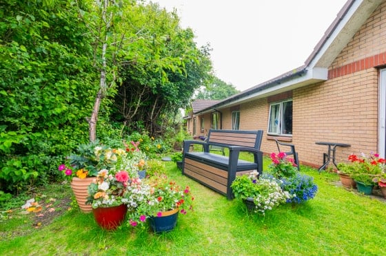Hatton Lea Care Home - Outdoor garden flowers