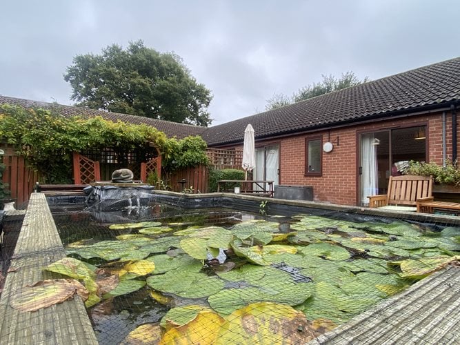 Willow Court Care Home - Senior living lily pads