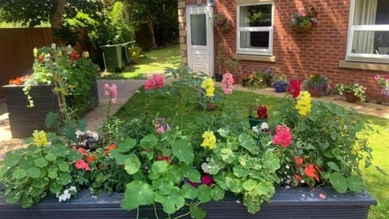 Appleton Lodge Care Home - Senior living Garden plant