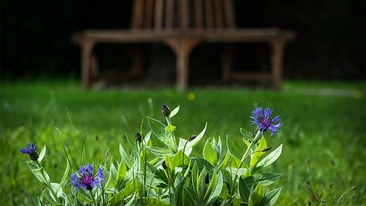 The Daffodils Care Home - daf-2