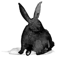 Water colour bunny gray 3