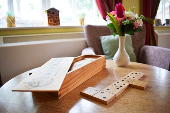 Acorn Hollow Care Home - Dominos board game