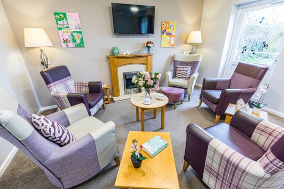 Church View Care Home - Purple armchair