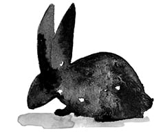 Water colour bunny gray