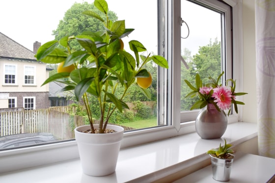 Fazakerley House Care Home - Floral pot on windowsill