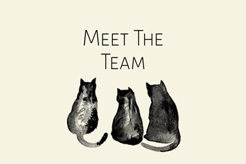 Meet the team