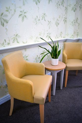 Pendleton Court Care Home - Plant and 2 orange seats