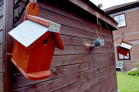 Acorn Hollow Care Home - Bird box on shed