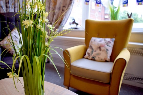 Acorn Hollow Care Home - Plant and yellow chair