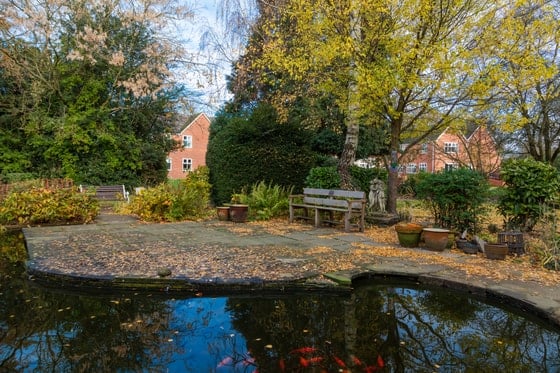 Elmwood House Care Home - Outdoor lake and garden