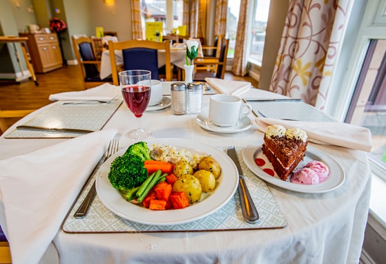 Castle View Care Home - Meal on plates