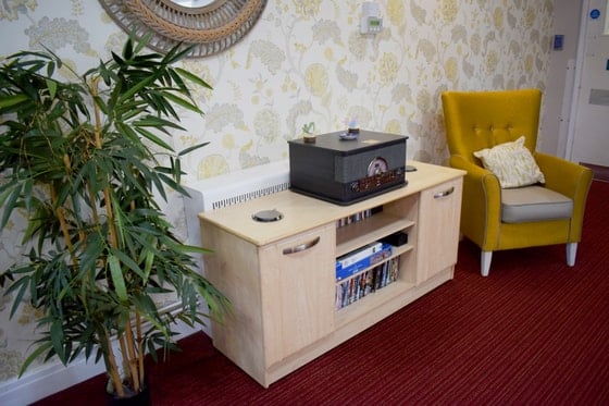 Acorn Hollow Care Home - plant and yellow chair