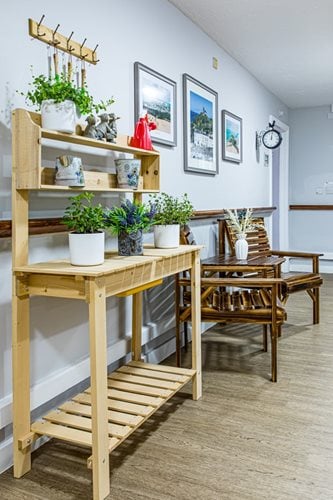 Meadowlands Care Home - Wooden plant and pictures