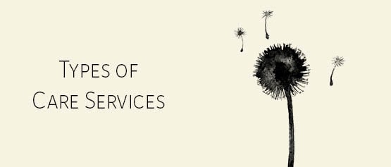 types of care services