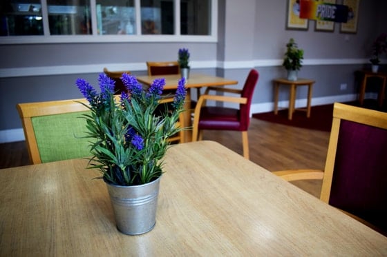 Acorn Hollow Care Home - Dining table with plant