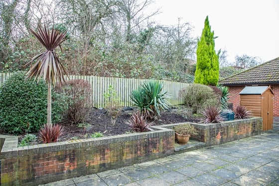 Springwater Lodge Care Home - Raised plant bed with trees