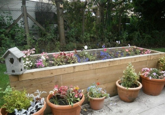 Rose Court Care Home - gardening senior living