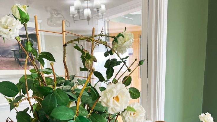 Brinnington Hall Care Home slider image