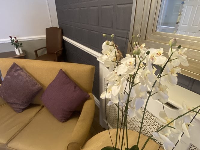 Willow Court Care Home - Senior living coffee table and plant